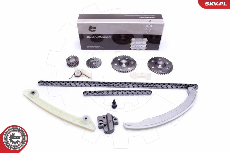 Timing Chain Kit